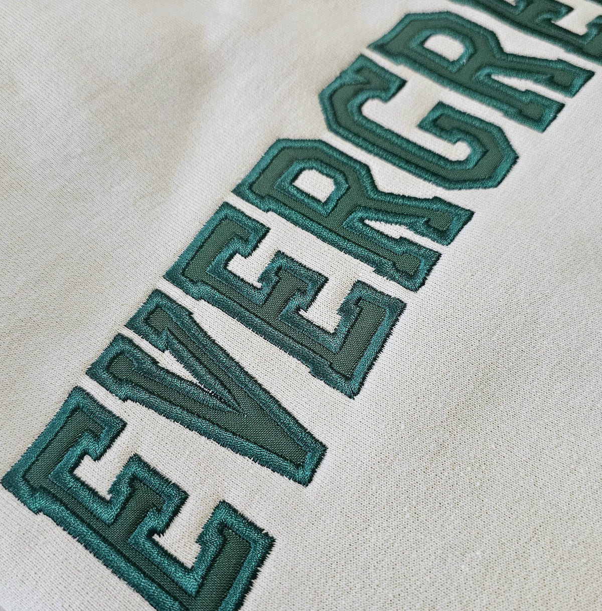 Embroidered Custom Applique Varsity Letter School Sweatshirt