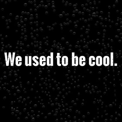 We used to be cool Vinyl Car Decal Sticker for Minivan or Station Wagon